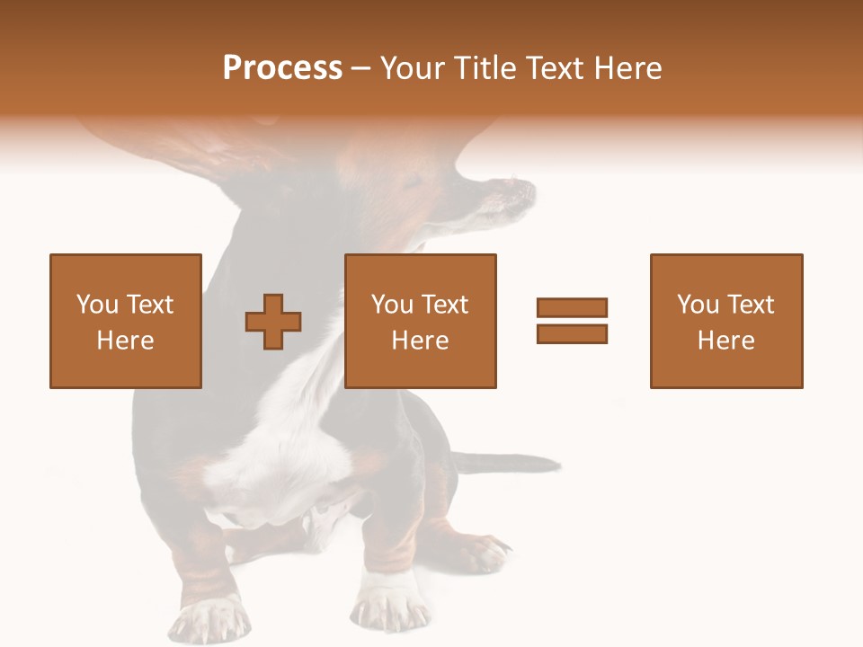 Animal Humor Isolated PowerPoint Template