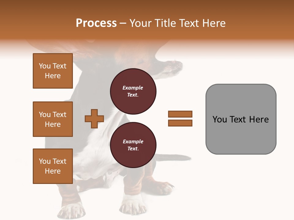 Animal Humor Isolated PowerPoint Template