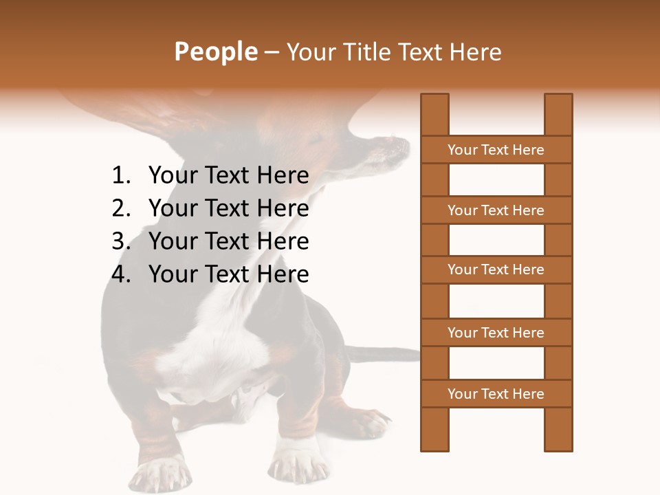 Animal Humor Isolated PowerPoint Template