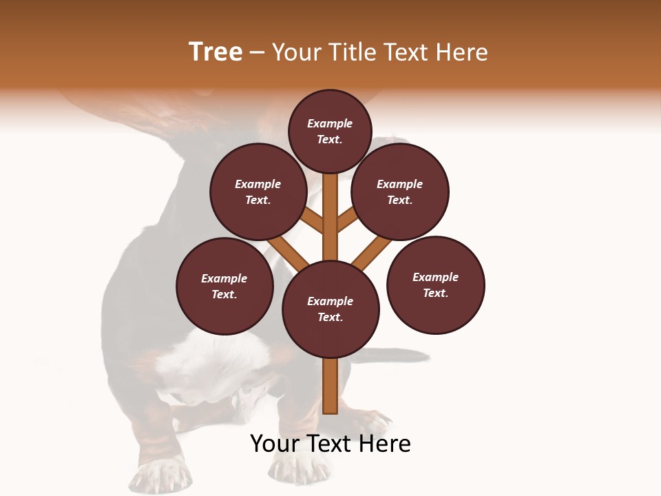 Animal Humor Isolated PowerPoint Template