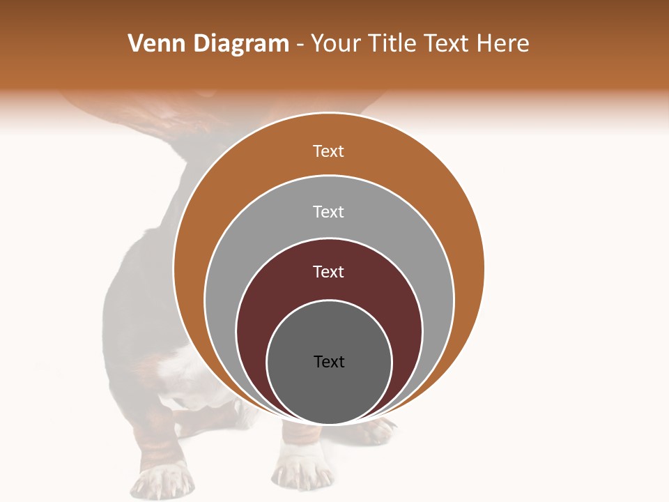 Animal Humor Isolated PowerPoint Template