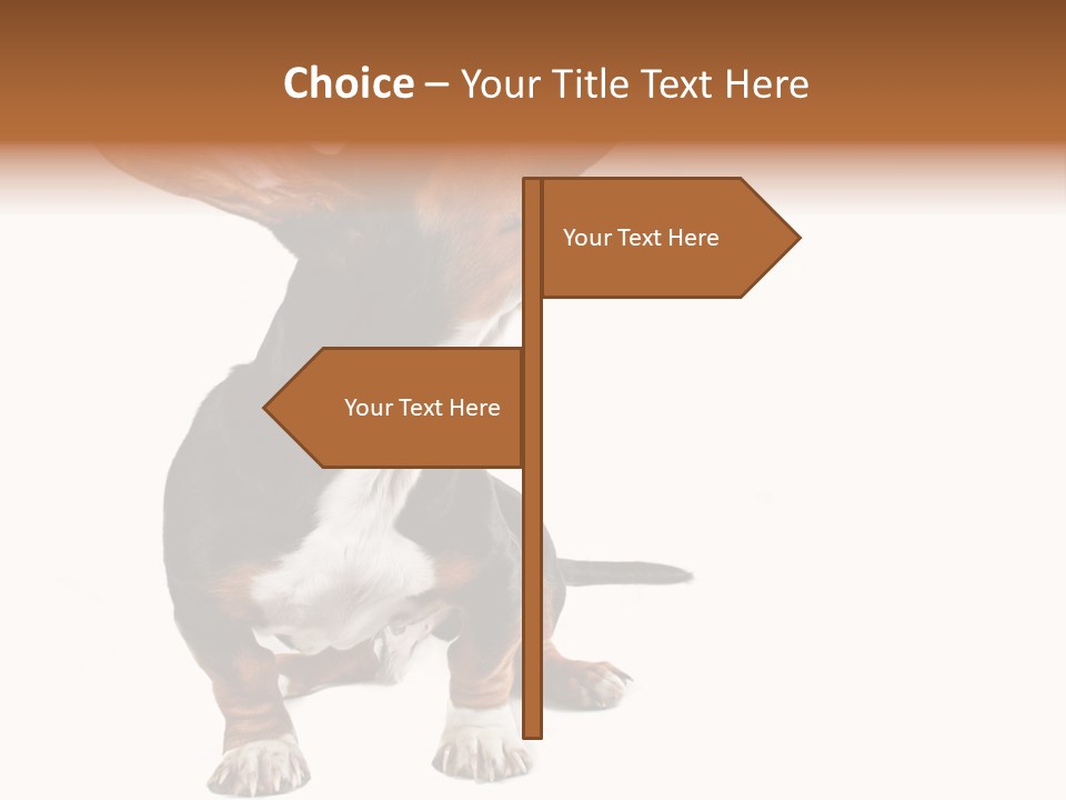 Animal Humor Isolated PowerPoint Template