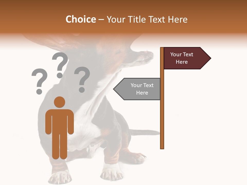 Animal Humor Isolated PowerPoint Template