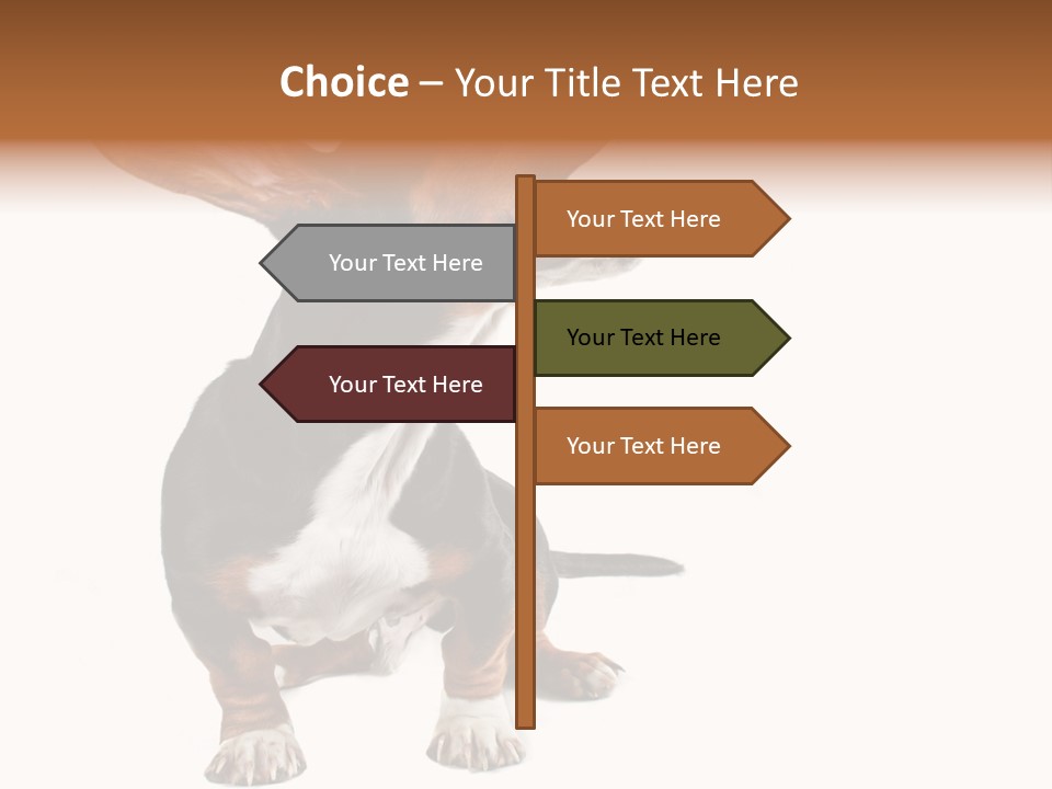 Animal Humor Isolated PowerPoint Template