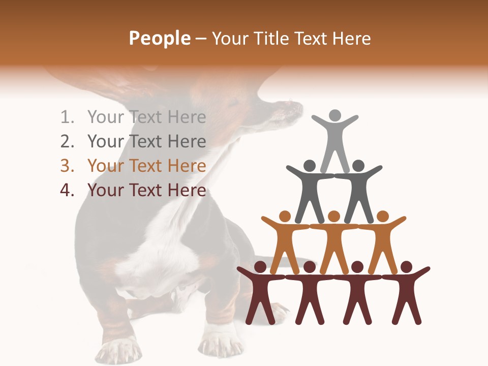 Animal Humor Isolated PowerPoint Template