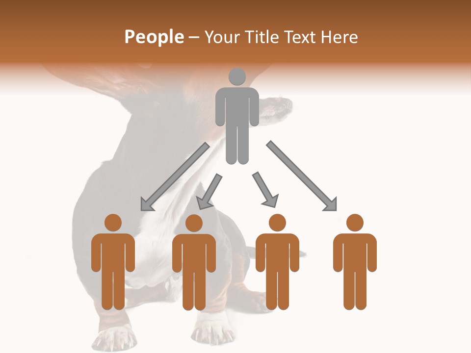 Animal Humor Isolated PowerPoint Template