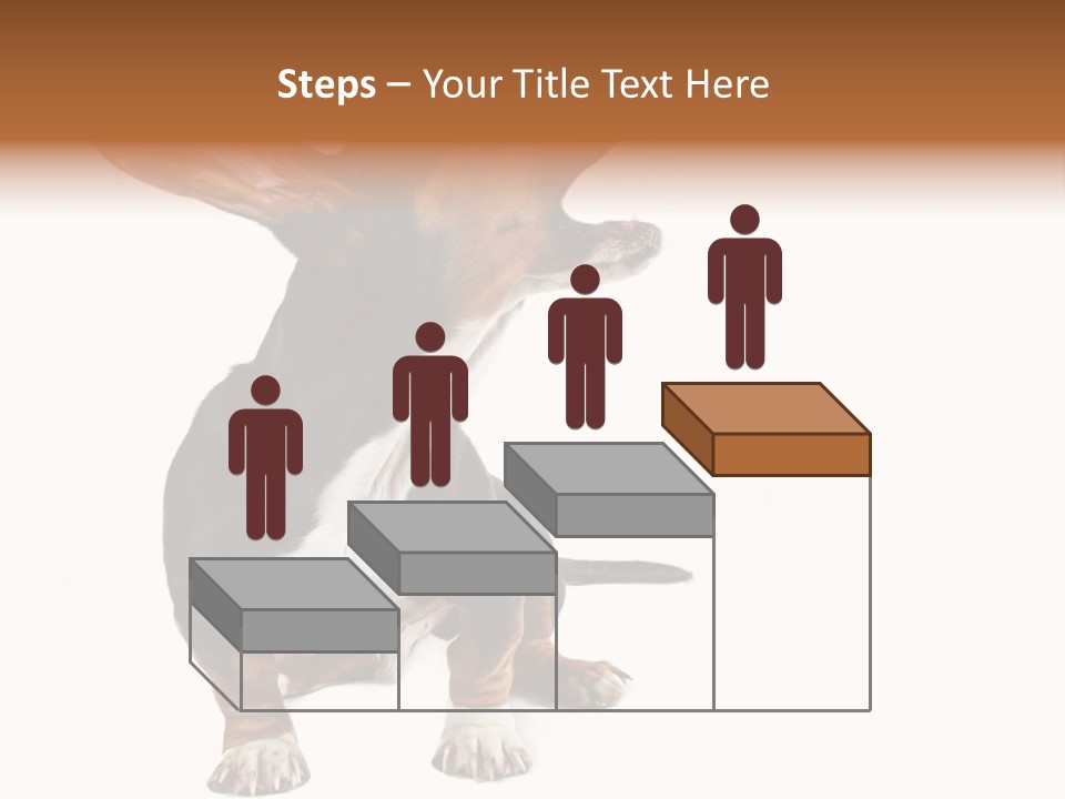 Animal Humor Isolated PowerPoint Template