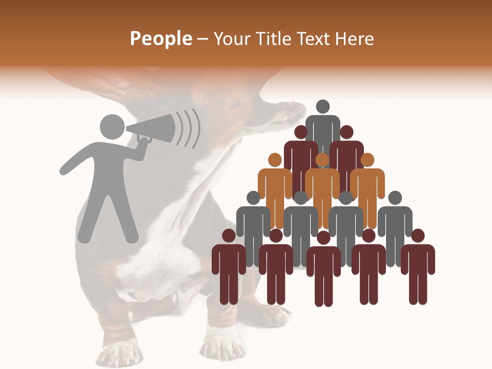 Animal Humor Isolated PowerPoint Template