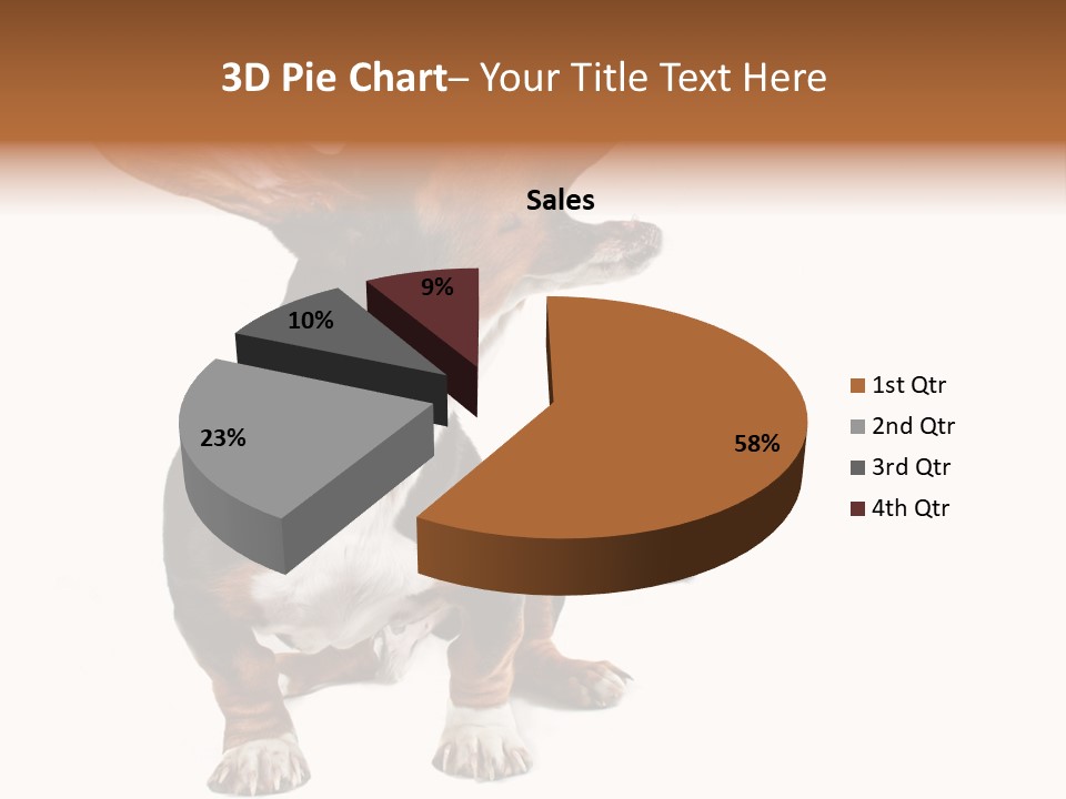 Animal Humor Isolated PowerPoint Template