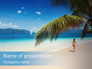 Palm Sky Tropical PowerPoint Template