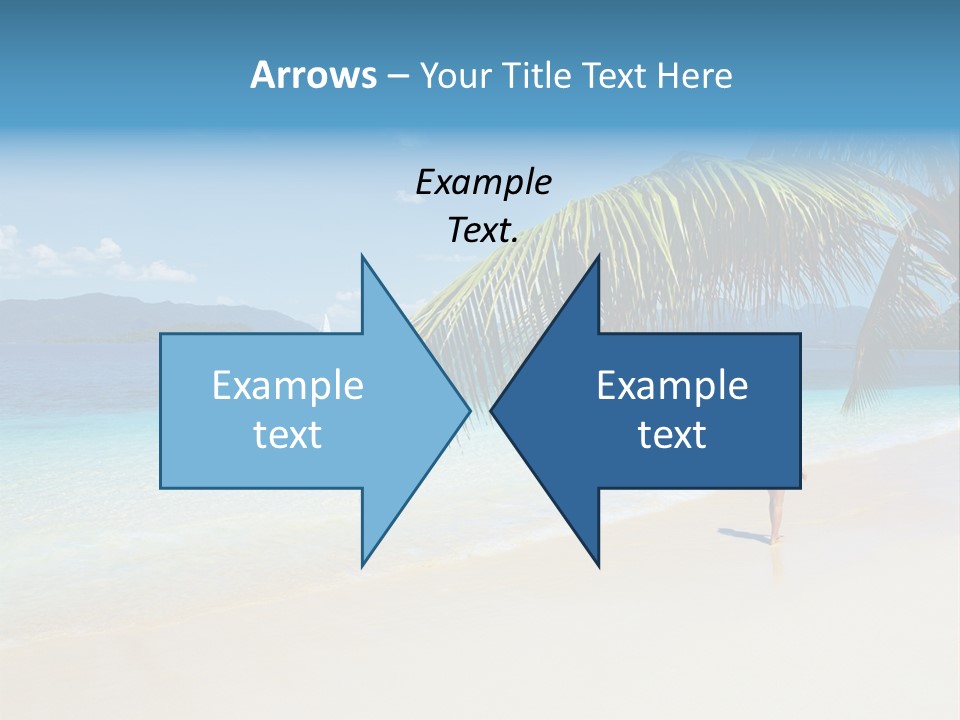 Palm Sky Tropical PowerPoint Template