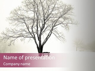 Sun Forest Snowfall PowerPoint Template