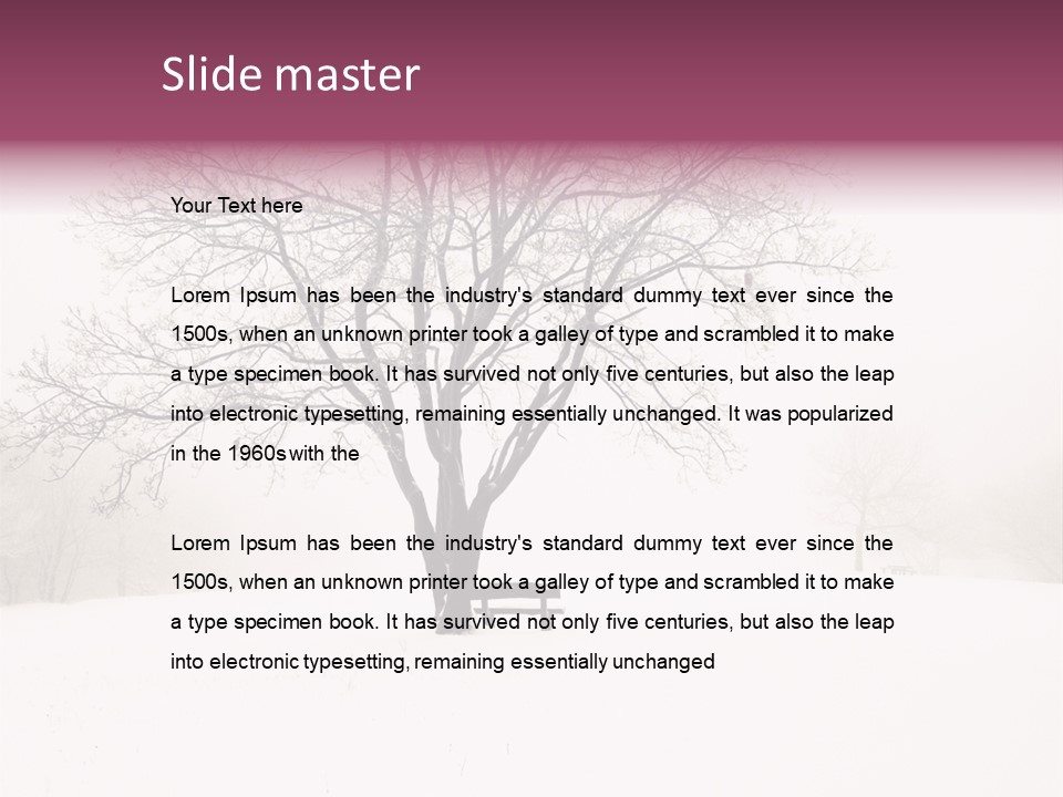 Sun Forest Snowfall PowerPoint Template