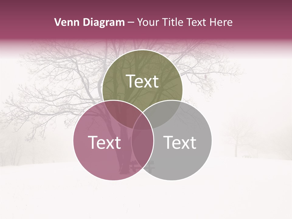 Sun Forest Snowfall PowerPoint Template