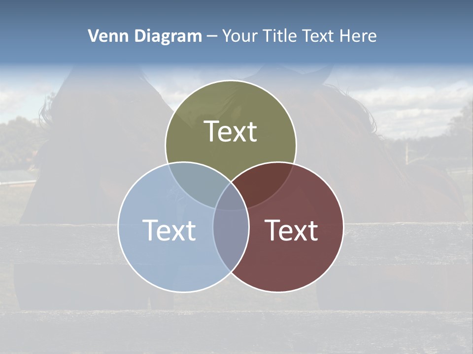 Leaflet Object Brochure PowerPoint Template