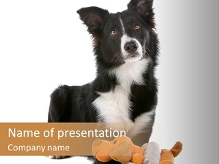 Animal Border Doggy PowerPoint Template