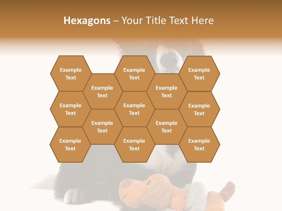 Animal Border Doggy PowerPoint Template