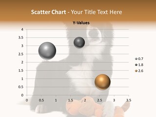 Animal Border Doggy PowerPoint Template