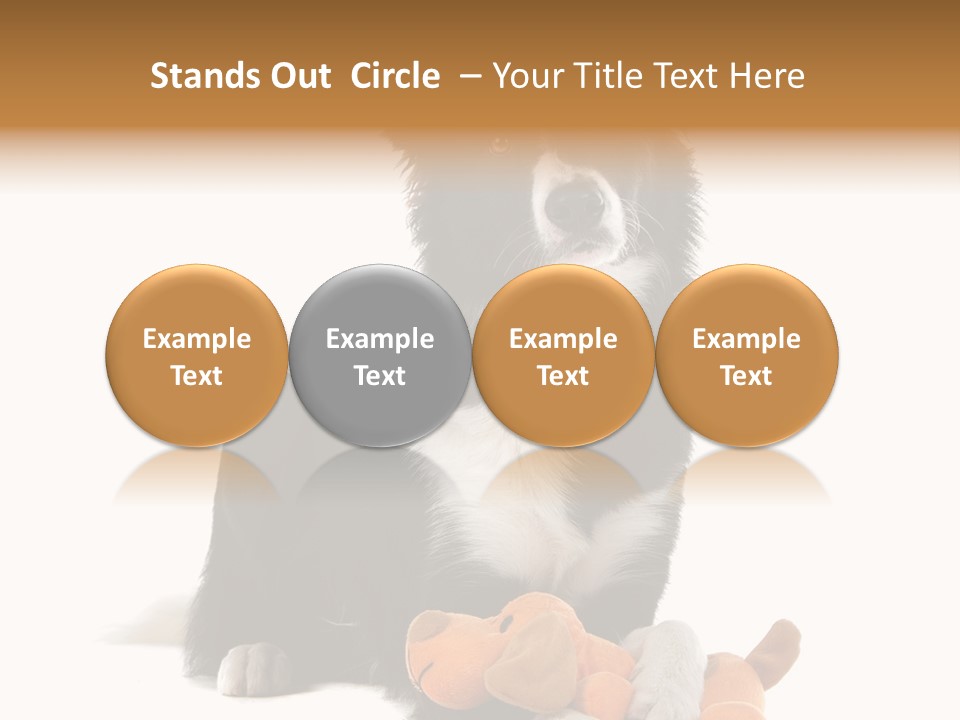 Animal Border Doggy PowerPoint Template