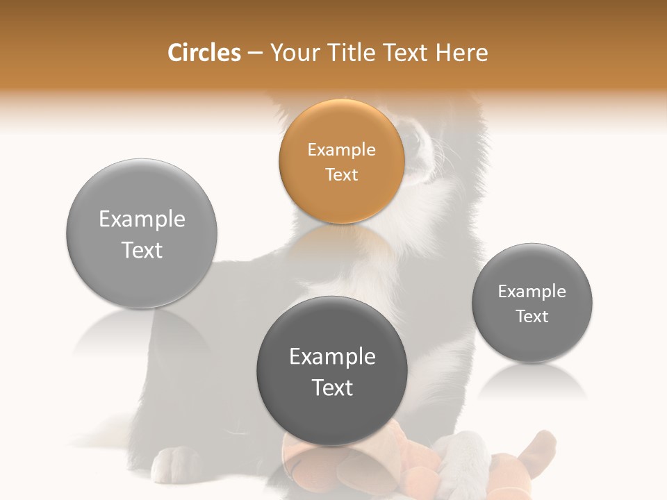 Animal Border Doggy PowerPoint Template