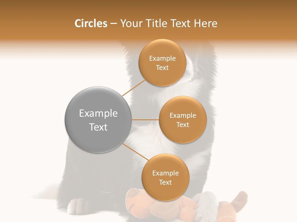 Animal Border Doggy PowerPoint Template