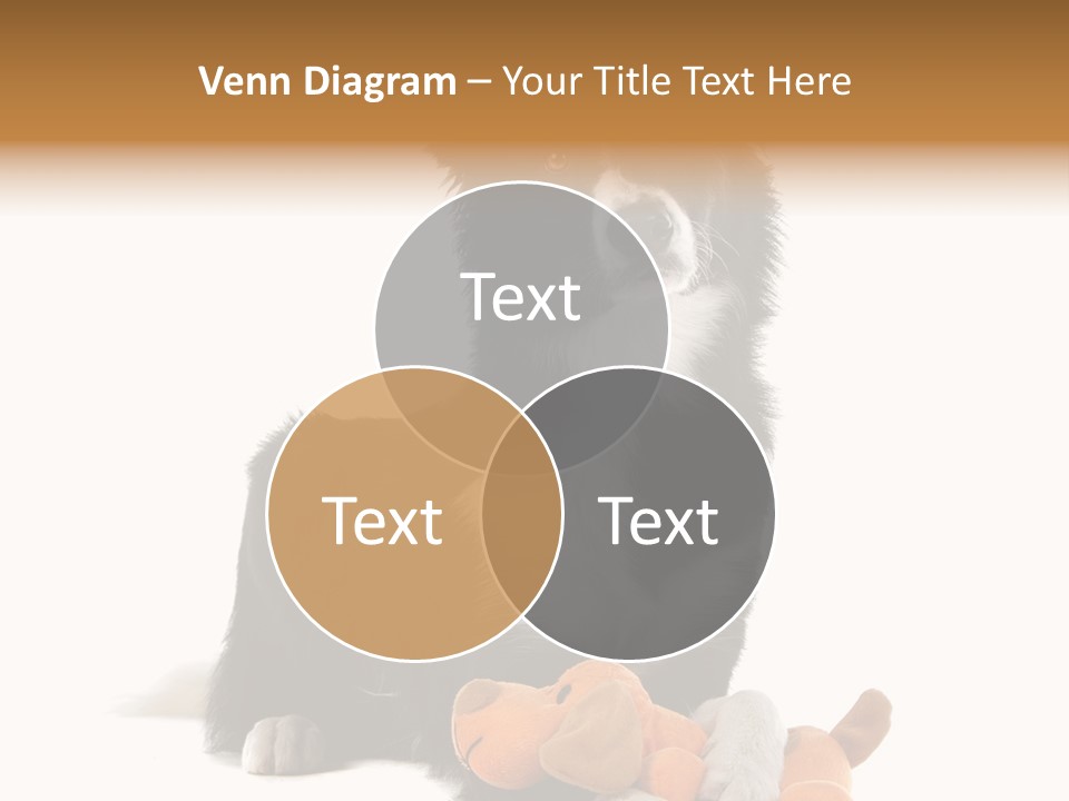 Animal Border Doggy PowerPoint Template