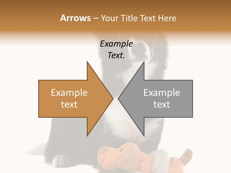 Animal Border Doggy PowerPoint Template