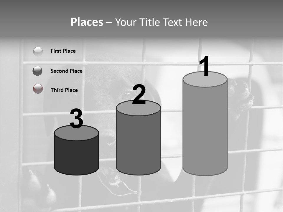 Wires Dog Pet PowerPoint Template