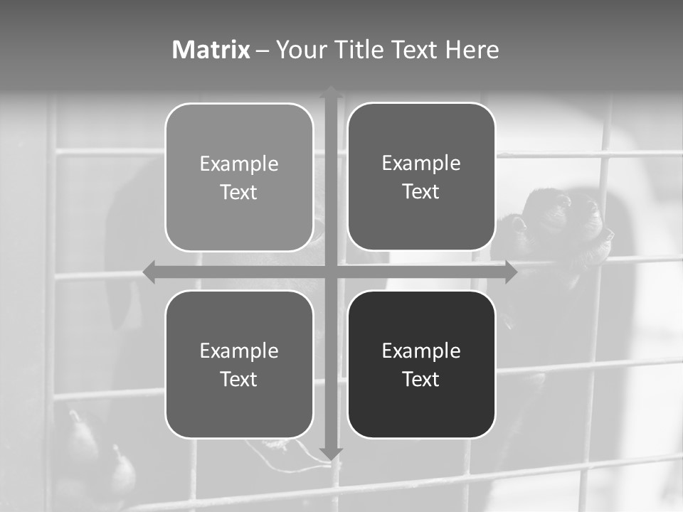 Wires Dog Pet PowerPoint Template