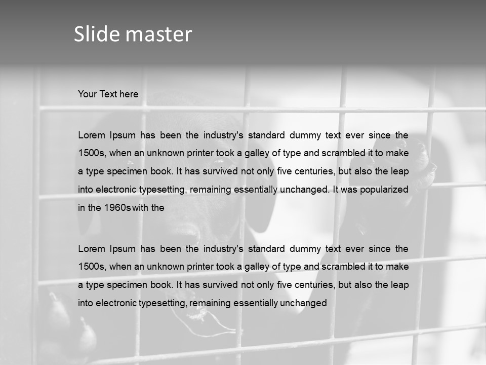 Wires Dog Pet PowerPoint Template