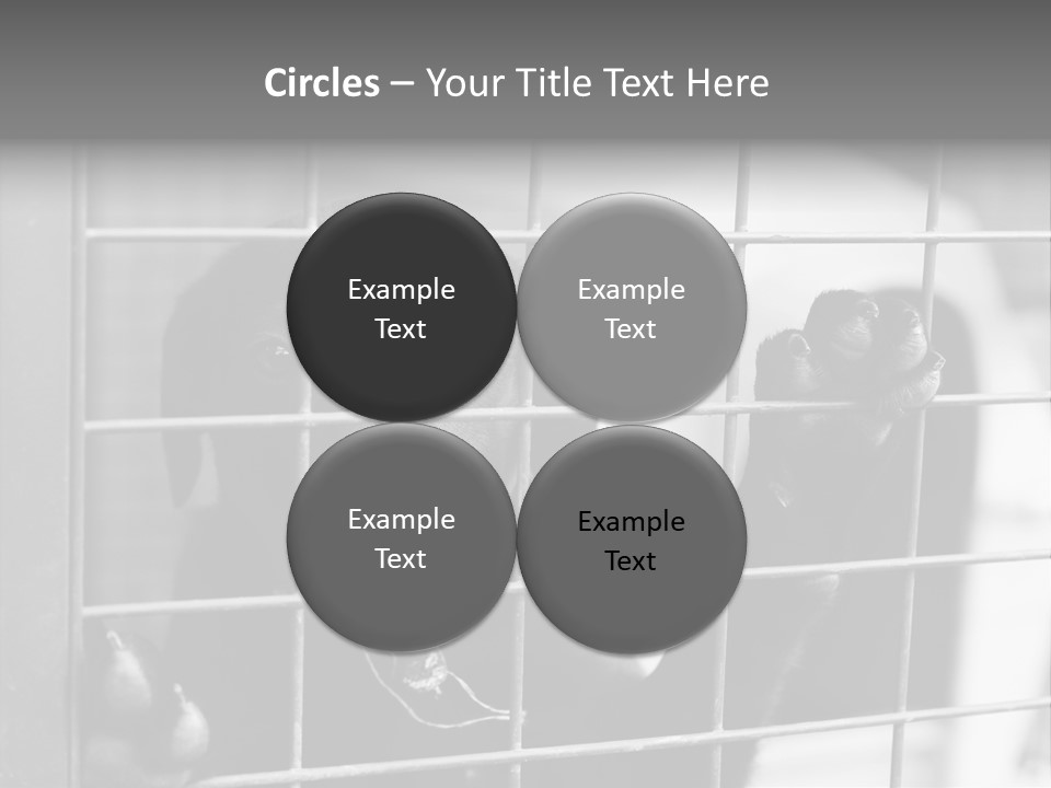 Wires Dog Pet PowerPoint Template