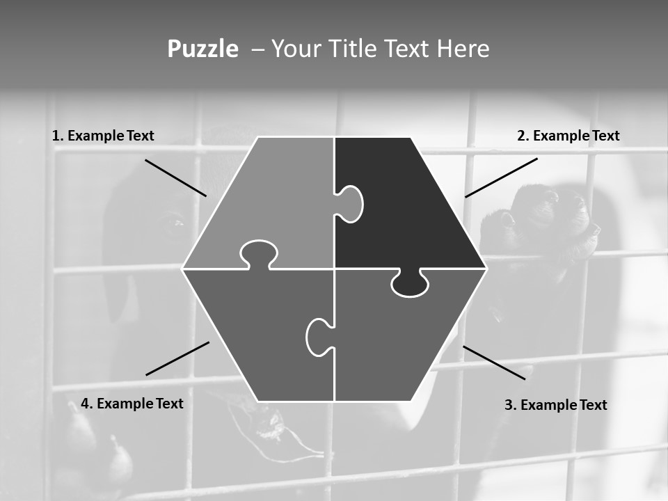 Wires Dog Pet PowerPoint Template