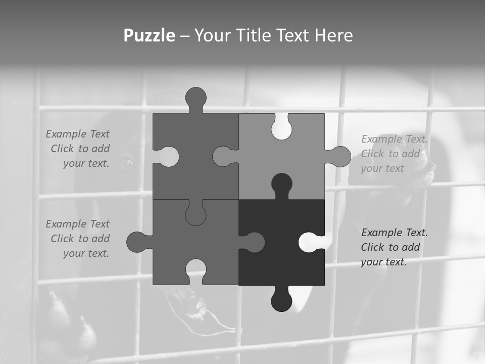 Wires Dog Pet PowerPoint Template