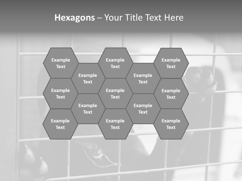 Wires Dog Pet PowerPoint Template