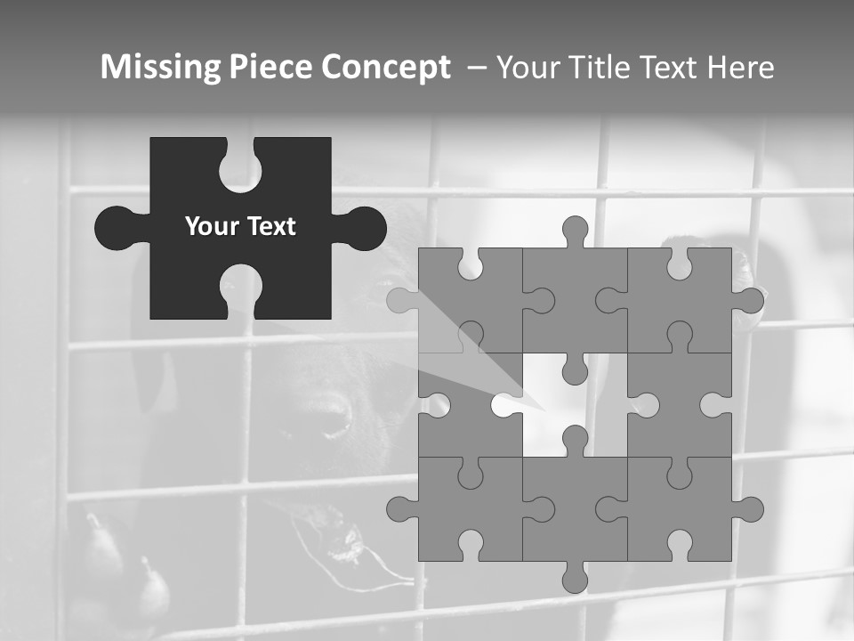 Wires Dog Pet PowerPoint Template