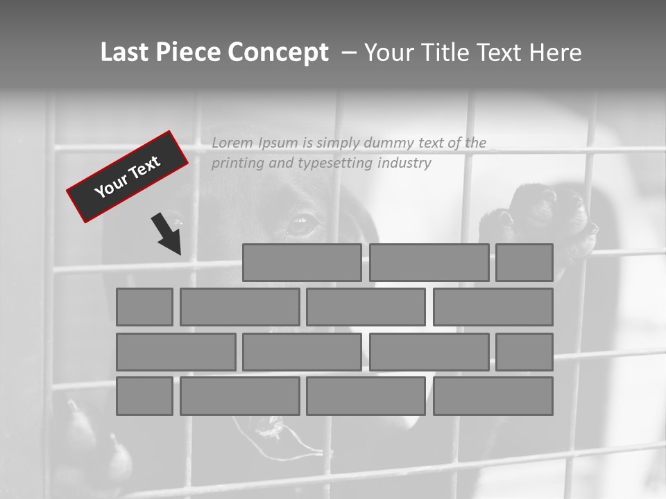 Wires Dog Pet PowerPoint Template