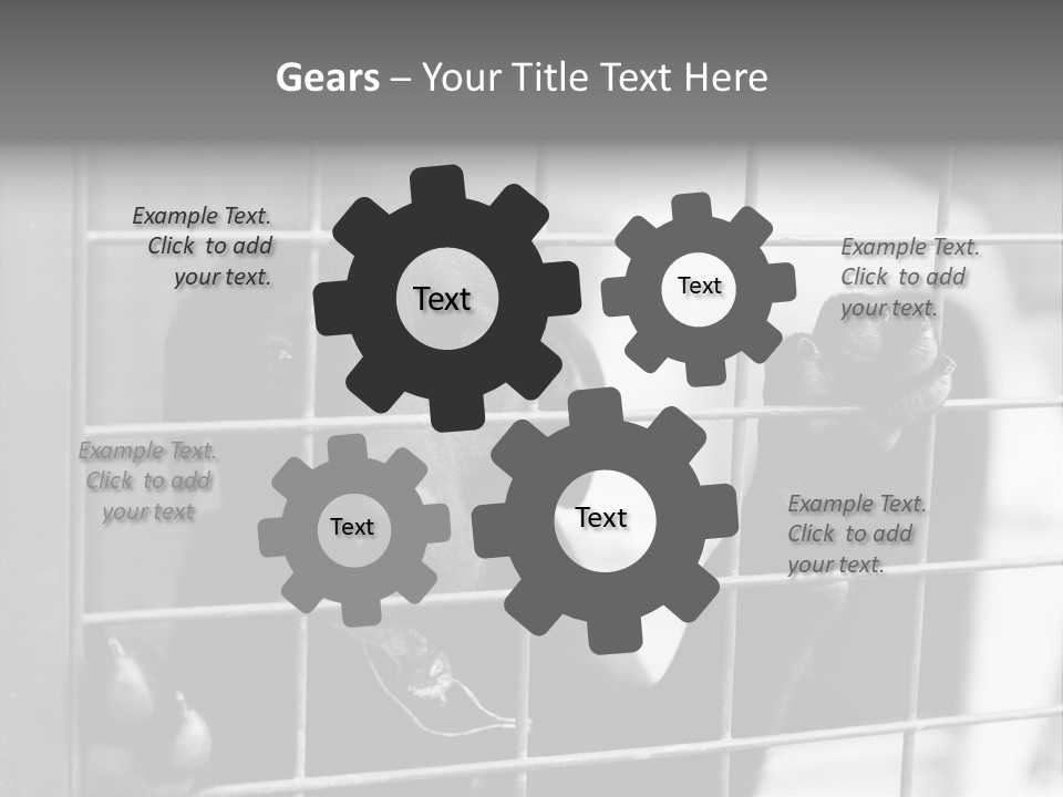 Wires Dog Pet PowerPoint Template