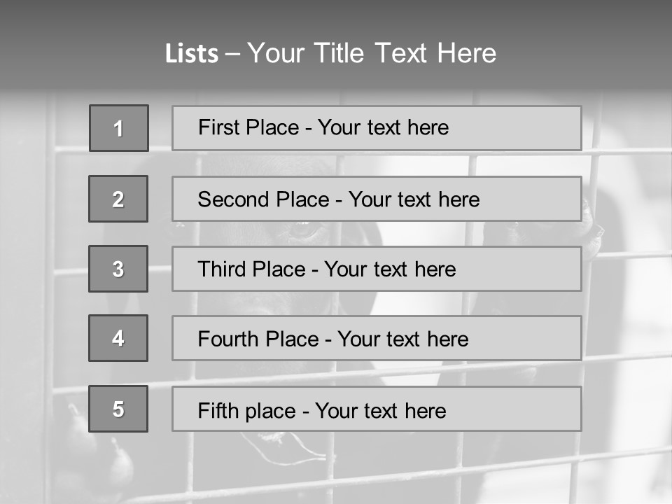 Wires Dog Pet PowerPoint Template