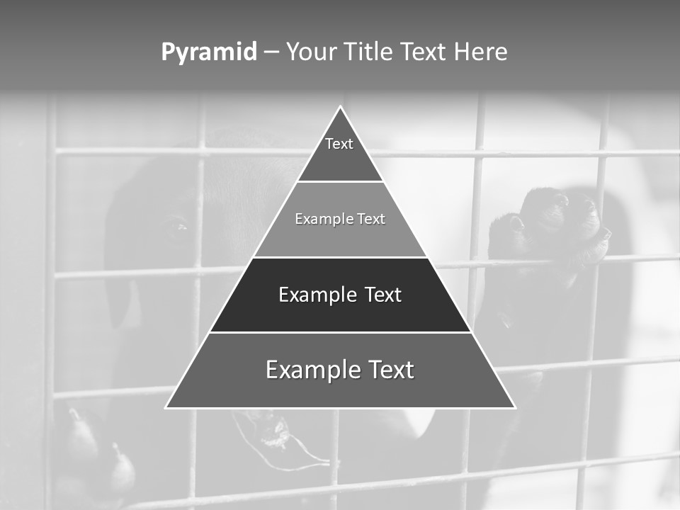 Wires Dog Pet PowerPoint Template