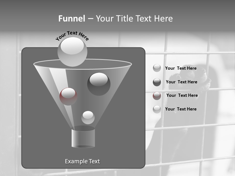 Wires Dog Pet PowerPoint Template