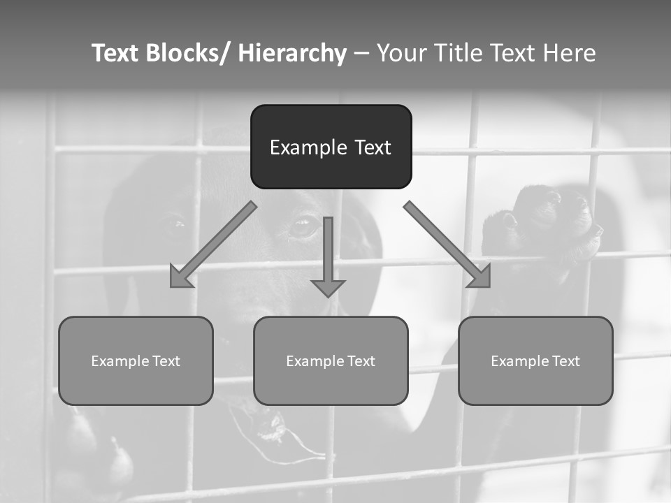 Wires Dog Pet PowerPoint Template