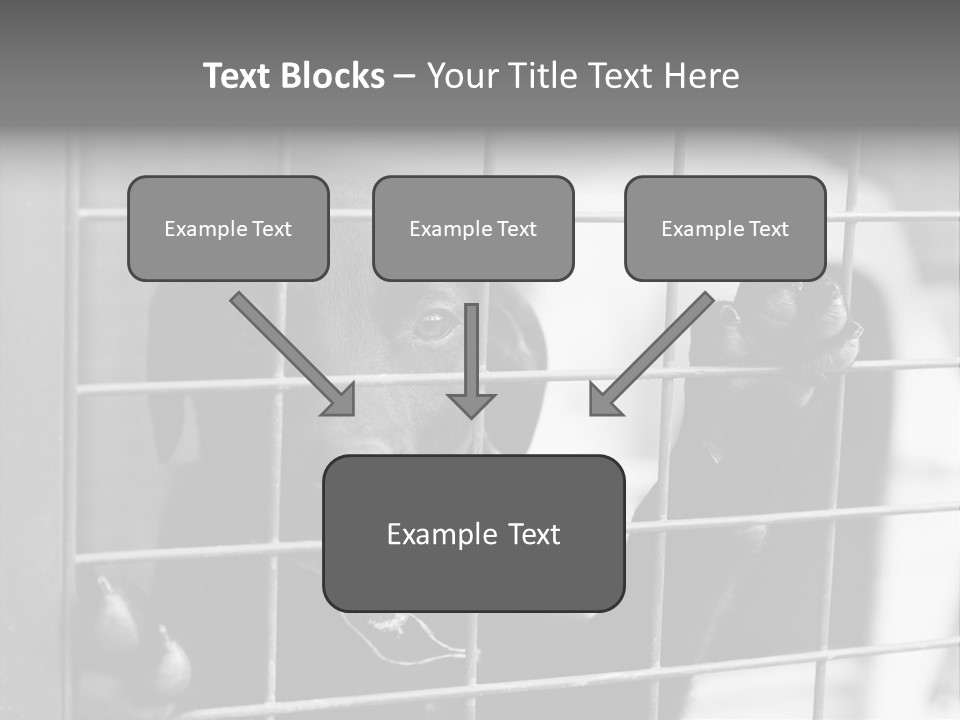 Wires Dog Pet PowerPoint Template