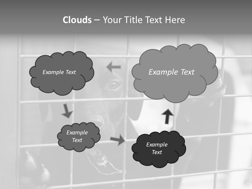 Wires Dog Pet PowerPoint Template