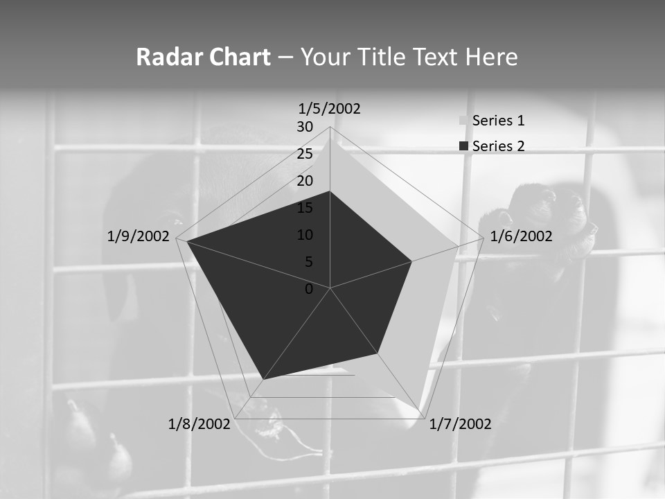 Wires Dog Pet PowerPoint Template