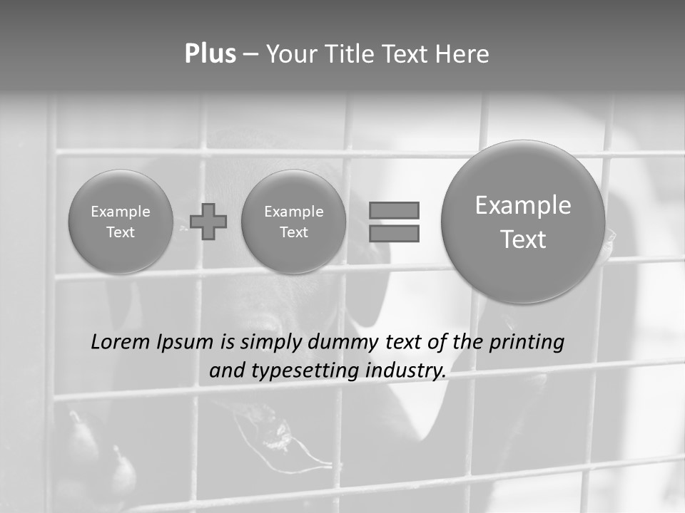Wires Dog Pet PowerPoint Template