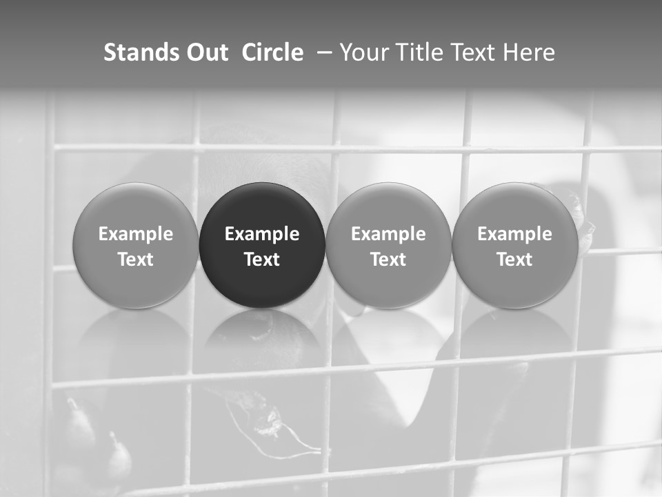 Wires Dog Pet PowerPoint Template