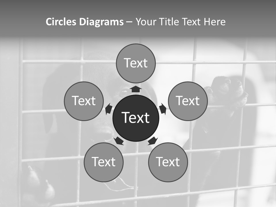 Wires Dog Pet PowerPoint Template