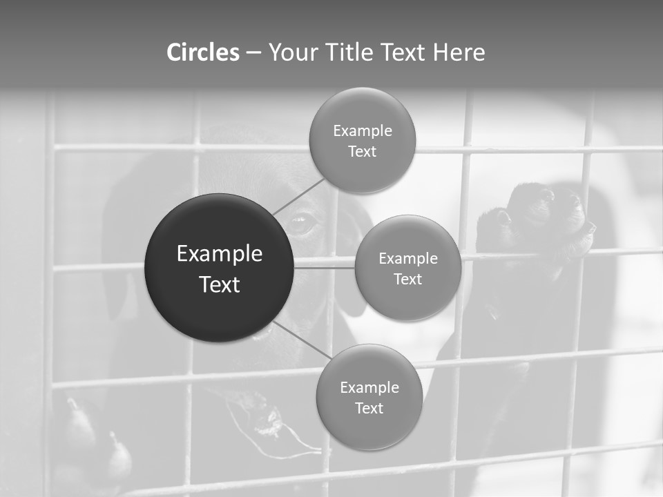 Wires Dog Pet PowerPoint Template