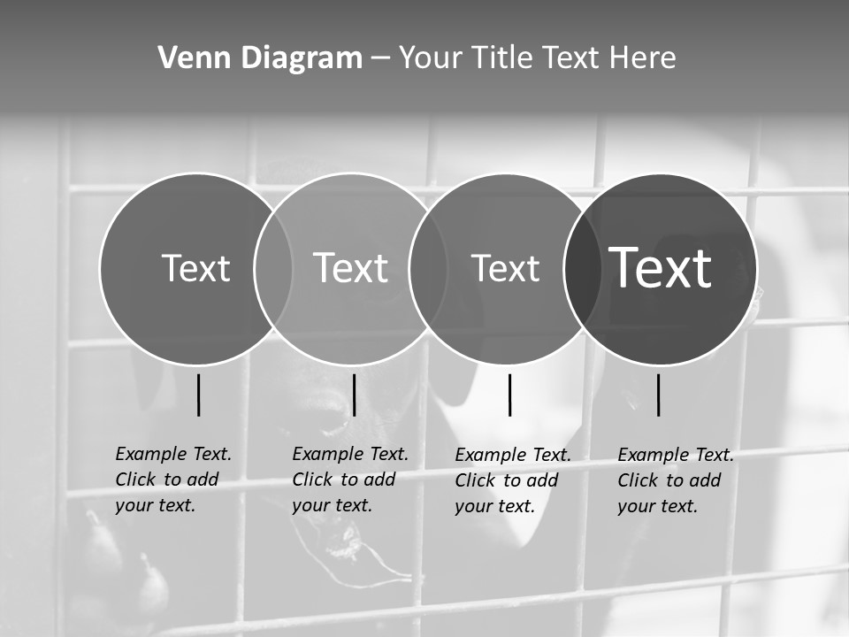 Wires Dog Pet PowerPoint Template