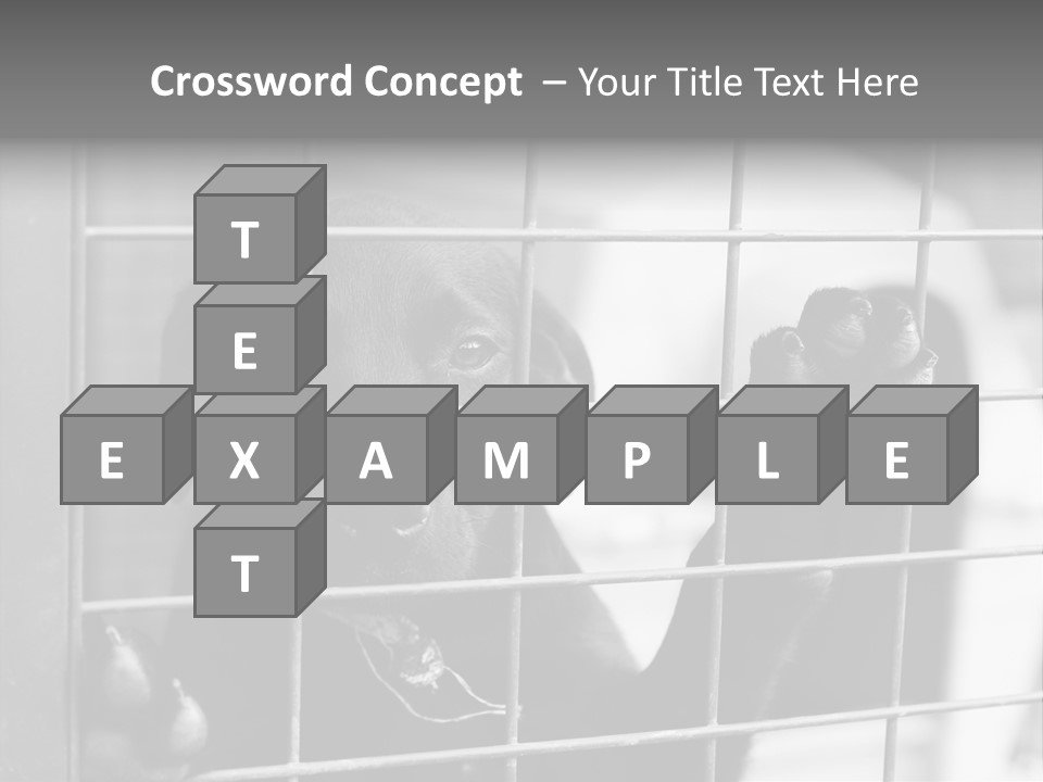 Wires Dog Pet PowerPoint Template